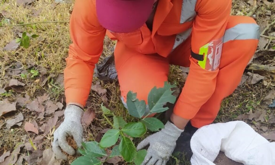 Aeropuertos de Oriente S.A.S cuida el medio ambiente