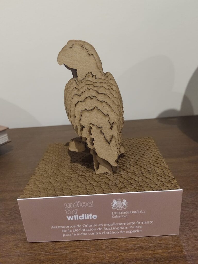 WhatsApp Image 2023-11-09 at 8.55.25 AM