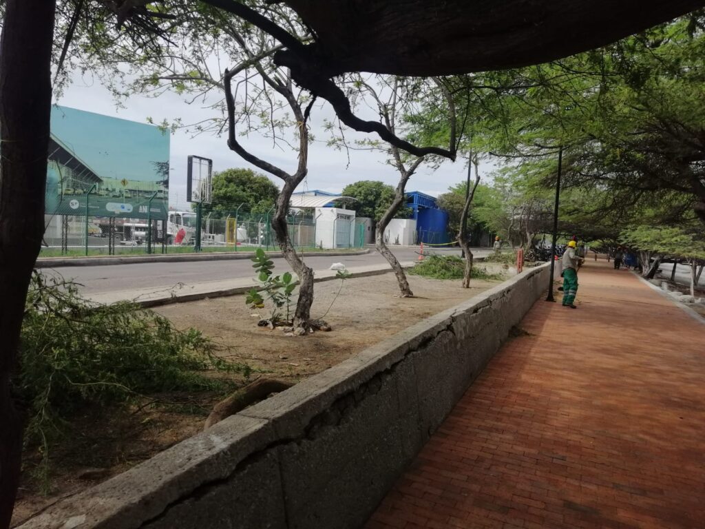 WhatsApp Image 2024-06-07 at 5.18.10 PM